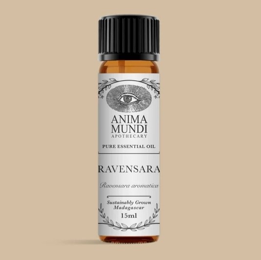 Anima Mundi Ravensara Essential Oil 15ml i gruppen Kroppsvård / DIY Råvaror / Eteriska oljor hos Rawfoodshop Scandinavia AB (AM105)