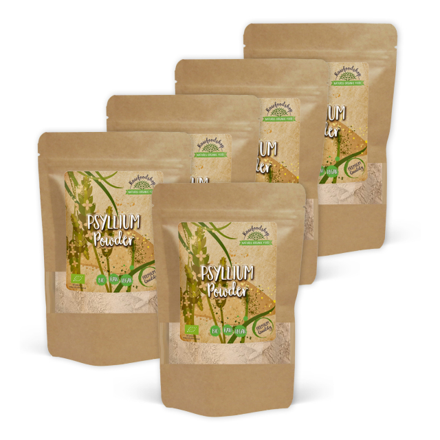 Psyllium Pulver EKO 100g x 5 paket