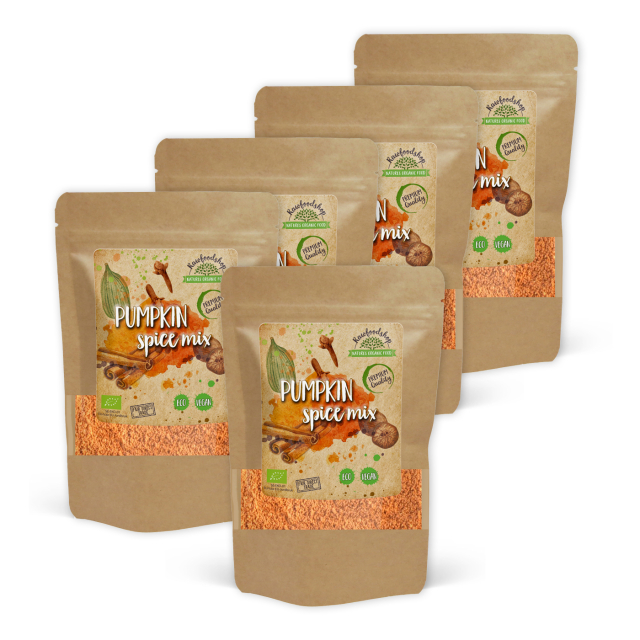 Pumpkin Spice Mix EKO 100g x 5 paket