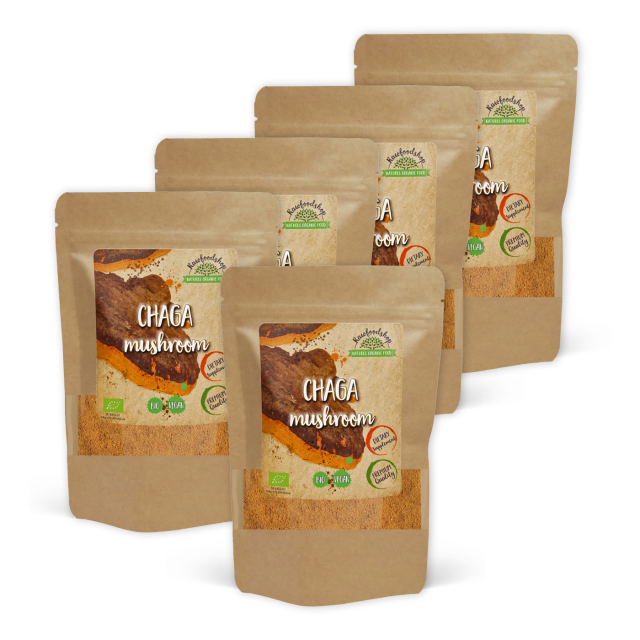 Chaga Pulver EKO 125g x 5 paket