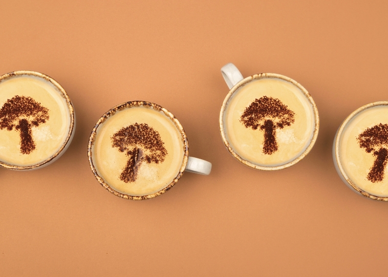 Chaga och svampkaffe - en lugn start på dagen